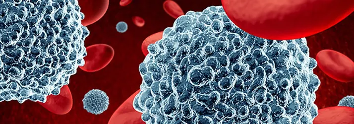 A close up photo of blood cells.