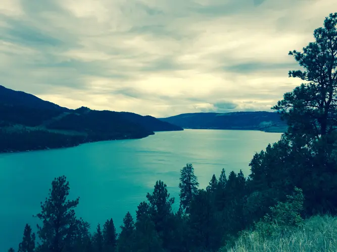 A tranquil lake surrounded by trees